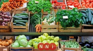 أسعار الفاكهة والخضروات في سوق العبور اليوم السبت 29 نوفمبر 2025